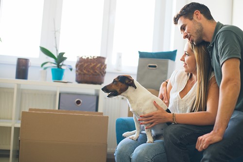 A couple and their dog is sitting in their apartment with moving boxes.