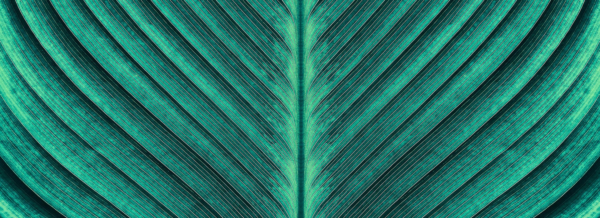 CSR – Our social responsibility