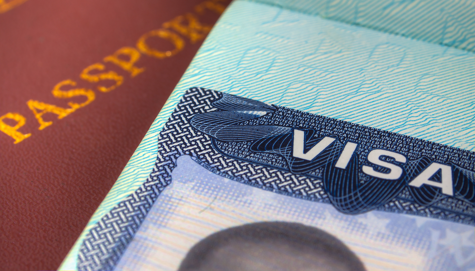 Alfa Sweden - Immigration Update