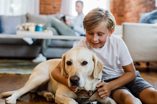 A boy hugging his furry friend in the foreground with his family in the background of their home.