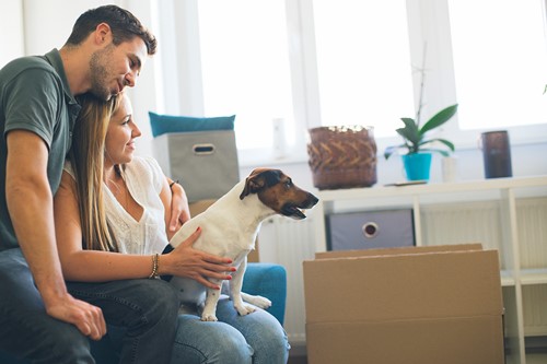 A loving couple with their dog in their apartment preparing for their international move of household goods.