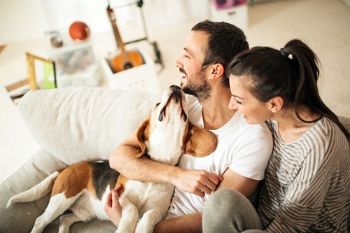 Ett lyckligt par som kramar och håller sin hund sittande i soffan i sin lägenhet.