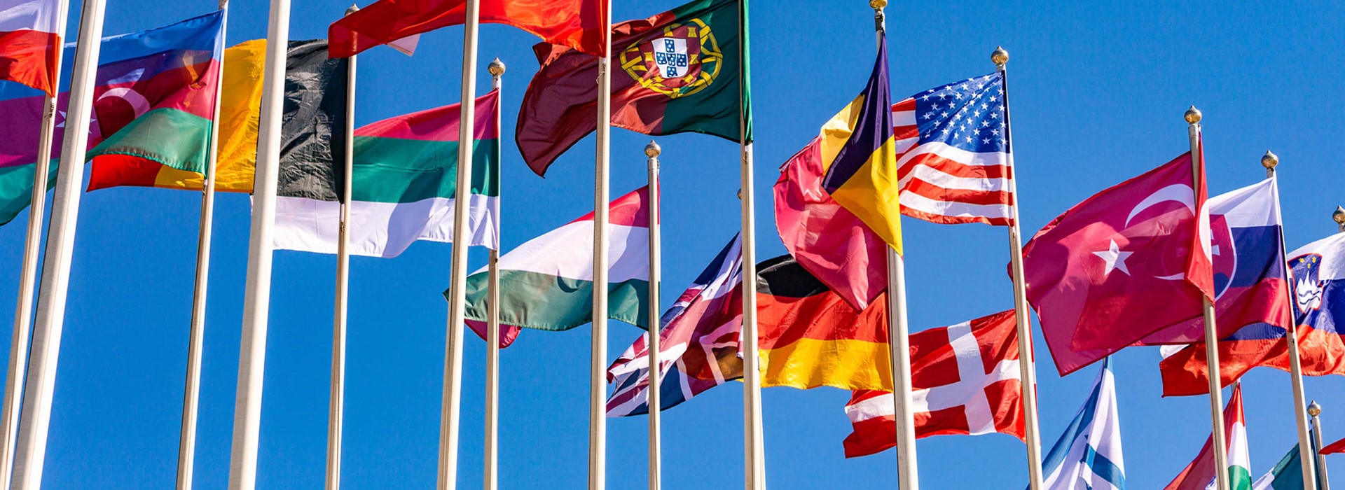 Explore the global scope of our operations